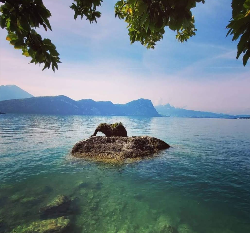 Impressionen private Lake lucerne Elefant
